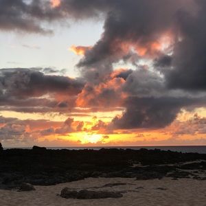 Meet your Posher, Jaznie